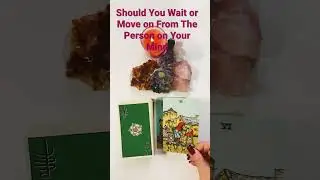 Should You Wait or Move On? #shorts #shortsvideo #tarotreading #lovereading #asktheangels #love