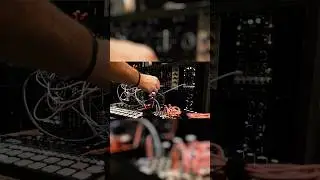 Squeaky Toy Pt. 1 | Eurorack Modular Synth Beat Performance | #shorts #synth #musicproduction #beats
