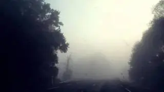 Cheerful Depression -  Lone Wanderer in Desolation Forest