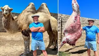 The Recipe For Camel Meat Kutaba! A Spicy Summer Treat
