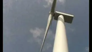 Do wind farms kill birds?