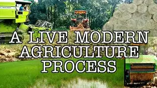 A LIVE MODERN AGRICULTURE PROCESS | RICE FARMING WITH MODERN MACHINERY | VILLAGE TRIP |
