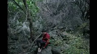 Saodaj' - Pokor L&egrave;r // cover