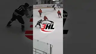 Может ли среднестатистический игрок NA3HL попасть в NAHL? 🤔 #ahadvising #hockey #ahl #collegehock...