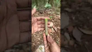 Making a knife out of a meat bones