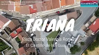 T01C04 - Triana