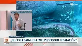 Desalación del agua: ¿Qué es y cuál es el impacto en el medio ambiente?
