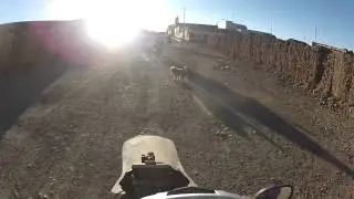 Chara&ntilde;a, Bolivia - EXPEDI&Ccedil;&Atilde;O TRIPARTITO.