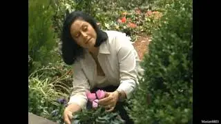 María Inés, Extrañandote