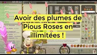 [DOFUS RETRO] Avoir des plumes de pious roses en illimit&eacute;es !
