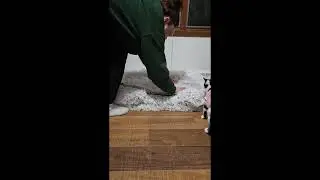 Self Warming Cat Bed Self Heating Cat Dog Mat