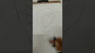 butterfly pea drawing || aparajita flower #shorts #butterflypeaflower #youtubeshorts #drawing
