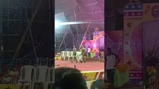 Gemini Circus 🤩Rajgir #Malmas#Mela#2023#viral#video