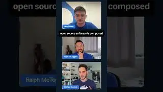 Risk and the problems of 3rd party software dependencies