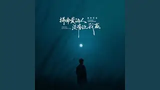 拼命爱的人没有让我赢 (昨晚你又来到我梦里)
