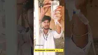 Veterinary 💉💊⚕️#animals #veterinary #viral #shorts #ytshorts #ahdp #jaipur #village #college #ahdp