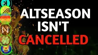 Altcoin Season is NOT Cancelled: Here are the Reasons