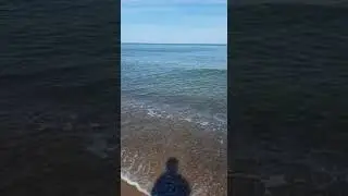 Amber coast of the Baltic Sea