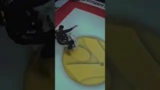 Leandro Lo vs Lucas Lepri🥇💙🥋🥇 #bjj #jiujitsu #gordonryan #ibjjf #shorts #tothedream