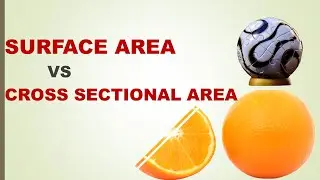 3.Surface area and Cross-Sectional Area in Urdu/Hindi