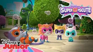 🧼 Baloane de săpun | Super Pisicuțe | Disney Junior Rom&acirc;nia