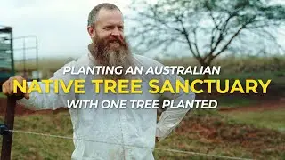 Native Tree Sanctuary in Australia | One Tree Planted