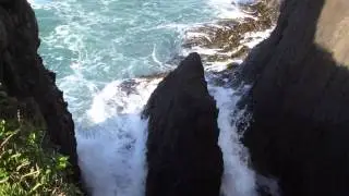 Saint Clair Beach, New Zealand