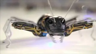 Factor Ciencia - Cómo se hace un robot (28/09/2015)