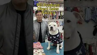 This is Yiwu, China pet supplies direct sales factory.#pets #petshop #doglife #dogtraining #fashion