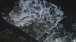 Fishingboat vessel fishing: huge catch of fish stock video