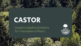 Creative Adaptive Solutions for Treescapes of Rivers (CASTOR)