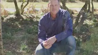 Contractors Corner: Architectural Lighting Insights with Trevor Rosendall | Lighting Warehouse
