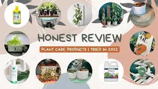 Best of Plant Products 2022 | What you need next year for your houseplants + GIVEAWAY