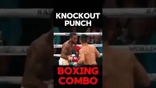Knockout punch boxing #boxing #hienboxingday #combo