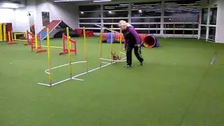 Keppien treenaus