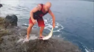 reunion island shore jigging yellow travelly