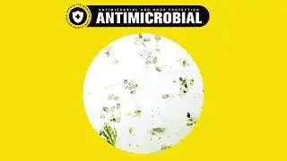 COEX Supertuff 3-Ply Antimicrobial