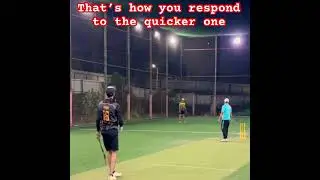 Thats how you respond to the quicker one #cricket #turf #shortsfeed #trending #shorts #cricketlover