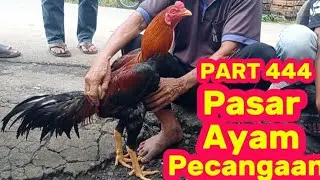 PART 444 🛑 Pasar Ayam Pecangaan Jepara 