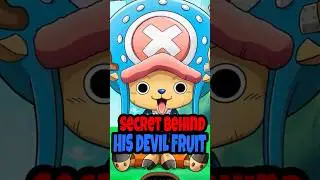 Chopper's Devil Fruit Mystery Finally Solved!