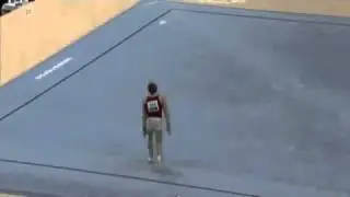 Vid Hidvegi 2010 Worlds Q FX