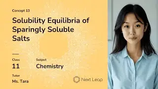 Solubility Equilibria of Sparingly Soluble Salts | Class 11 | Chapter - Equilibrium
