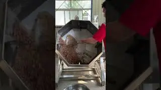 Peanut sugar coating processing flavoring#shorts#coating#peanut