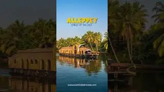 Escape to Alleppey &ndash; the Venice of the East 🍃🌿