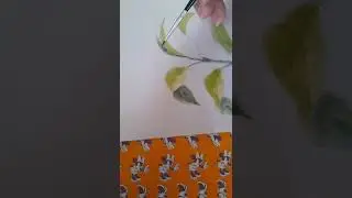 Como desenhar as folhas