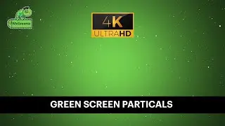 Green Screen Particles Overlay 4K