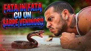 FATA IN FATA CU UN SARPE VENINOS !!