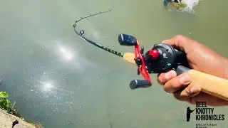 DMV Monster Bass Fishing! Location: Allen&rsquo;s Pond Bowie MD