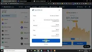 fake bitcoin transfer software