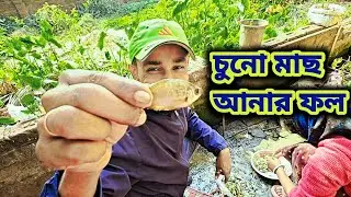 আজ আনলাম চুনো মাছ 🐟 | family vlog 